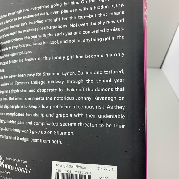 The Boys of Tommen Series Binding 13 Ombre by Chloe Walsh - Picture 13 of 13